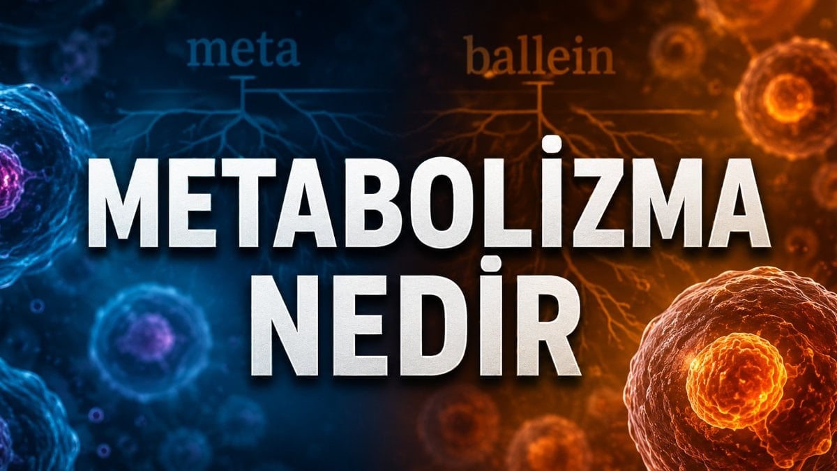 "Metabolizma"nın kökeni bakın ne çıktı! İşte gerçek anlamı