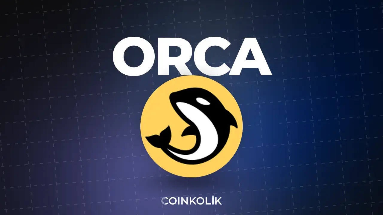 Orca coin nedir?