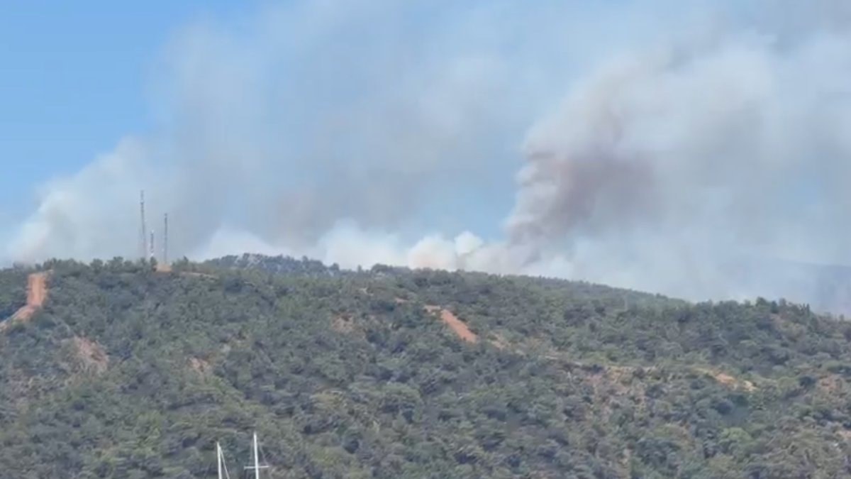 Fethiye'de orman yangınına havadan ve karadan müdahale ediliyor