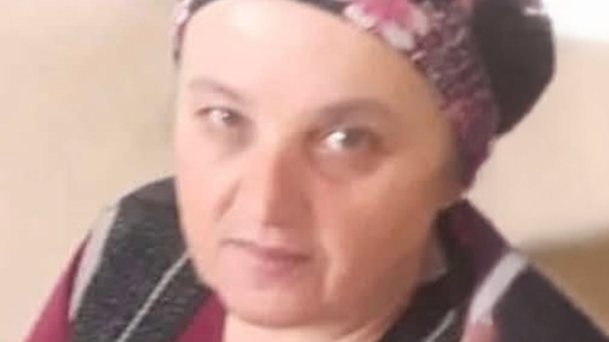 Zonguldak'ta eşek arısının soktuğu kadın kurtarılamadı
