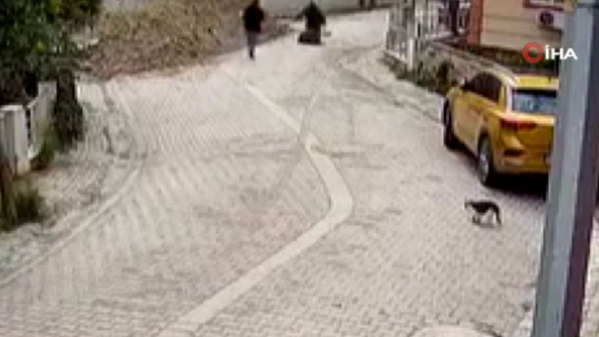 İstanbul'da 76 yaşındaki kadın rögara düştü