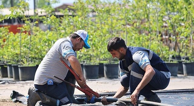 Büyükşehir’in fidanlığı Kocaeli’ni yeşillendiriyor