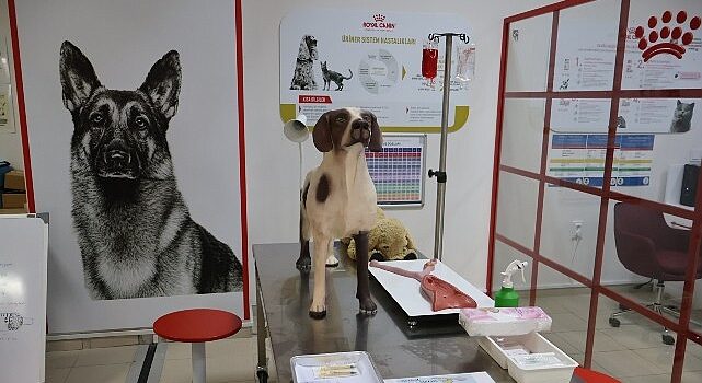 Uludağ Üniversitesi Klinik Beceri Laboratuvarı Açıldı