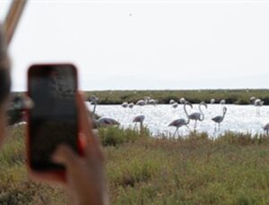 Doğa ve lezzet tutkunları bu turları çok sevecek