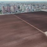 Adana’da yüksek binaların gölgesinde tarım