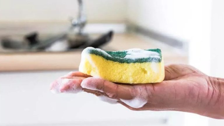 Amerikalılar asla bulaşık süngeri kullanmıyor: İşte sebebi