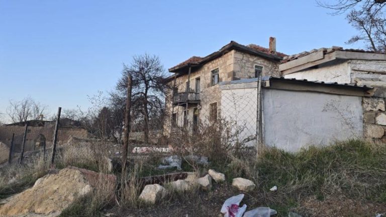 Ankara’da bahçede bağlı köpek çocuklara saldırdı