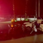 Aydın’da ağaca çarpan otomobilin sürücüsü öldü