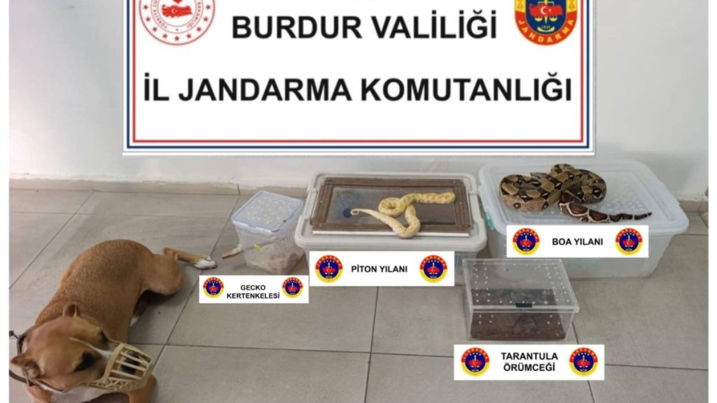 Burdur’da operasyon yapılan ev hayvanat bahçesi gibi çıktı