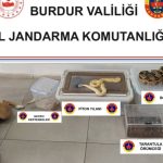 Burdur’da operasyon yapılan ev hayvanat bahçesi gibi çıktı