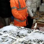 Bursa’da balık halinde gece operasyonu