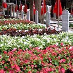 Büyükşehir’den şehitlerin emanetine özenli bakım