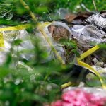 Çevreyi kirletenlere 2026’da verilecek cezalar belli oldu