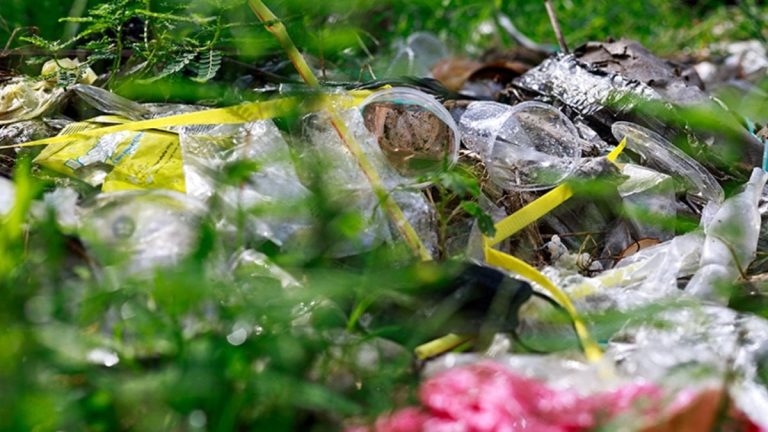 Çevreyi kirletenlere 2026’da verilecek cezalar belli oldu