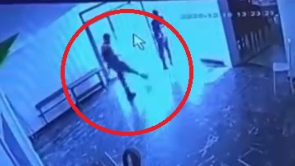 Elazığ’da belediye tesisinden kediye tekmeli saldırı kameraya yansıdı