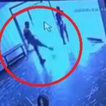 Elazığ’da belediye tesisinden kediye tekmeli saldırı kameraya yansıdı