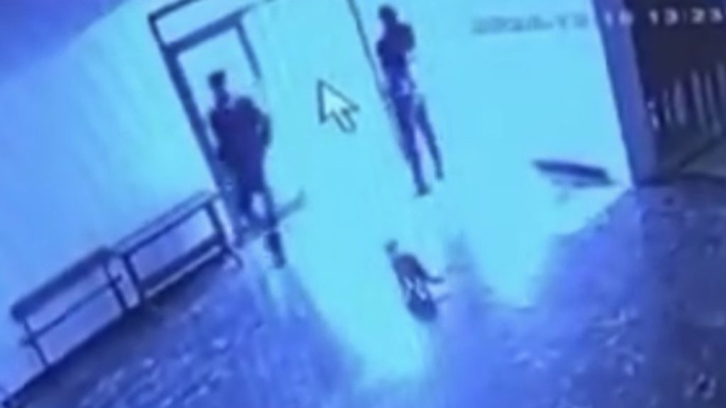 Elazığ’da kediye tekme atan görevli tepki çekti