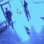 Elazığ’da kediye tekme atan görevli tepki çekti