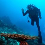 Engelleri mavi derinliklerde aştı: Özgür Akçı Kızıldeniz’e daldı