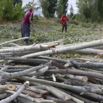 Erzincan kırsalında kış mesaisi