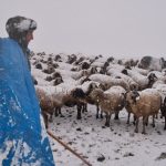 Erzincan yaylalarından köylere uzanan zorlu kış mesaisi