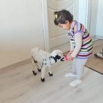 Erzincan’da annesinin istemediği kuzuya bakıyor