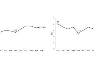 Girişimcilik ve İş Demografisi, 2024