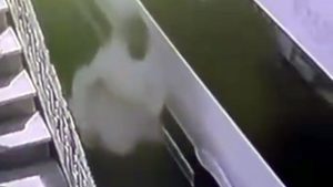 İstanbul’da 40 bin liralık elektrik ekipmanı hırsızlığı kamerada