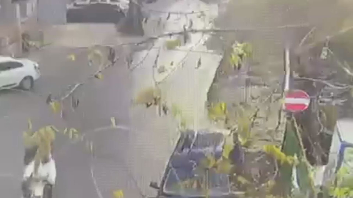 İstanbul’da aynı gün işlenen iki farklı cinayete ilişkin 15 şüpheli yakalandı