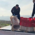 İstanbul’da kaçak ve sağlıksız 1 ton tavuk eti imha edildi: İşletme mühürlendi