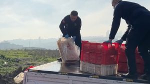 İstanbul’da kaçak ve sağlıksız 1 ton tavuk eti imha edildi: İşletme mühürlendi