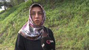 Kocaeli’de başıboş köpek tepkisi: 30’a yakın köpek bir arada dolaşıyor