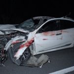 Malatya’da milyonluk yarış tayları kaza sonucu telef oldu