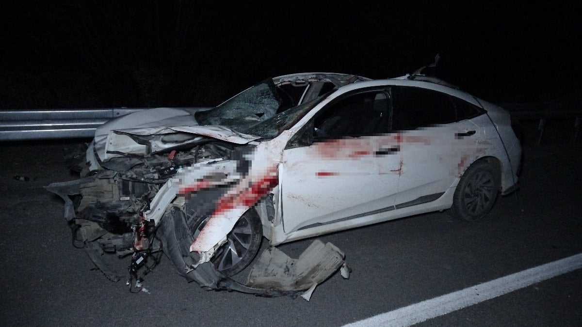 Malatya’da milyonluk yarış tayları kaza sonucu telef oldu