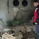 Manisa’da bozuk kokoreç operasyonu: 4 milyon liralık ürün imha edildi