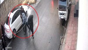 Mardin’de kopan elektrik teli üzerine düştü