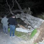 Mersin’de şiddetli rüzgar asırlık meşe ağacını devirdi