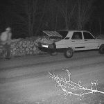 OGM’den kaçak kesimlere karşı 7/24 koruma