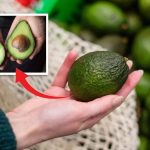 Olgun avokado seçmenin en kolay yolu! Sapı ele veriyor