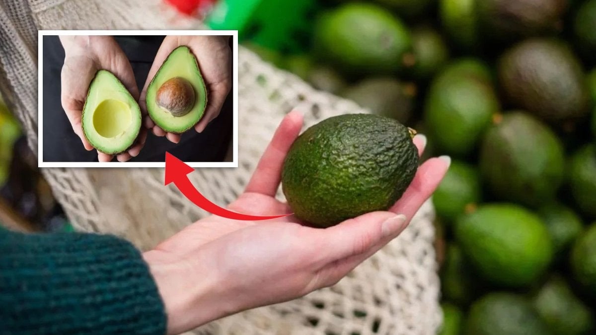 Olgun avokado seçmenin en kolay yolu! Sapı ele veriyor