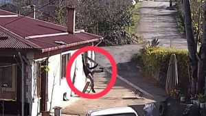 Ordu’da çatıdan düşen şahıs yaralandı