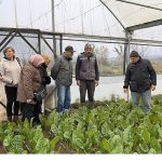 Saygınlar Kulübü’nün ‘tarım’ keyfi