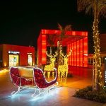 Setur Marinaları, 2025 boyunca sanat, spor ve festival rüzgârı estirdi