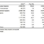 Sosyal Koruma İstatistikleri, 2024