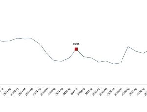 Tarım Ürünleri Üretici Fiyat Endeksi, Kasım 2025