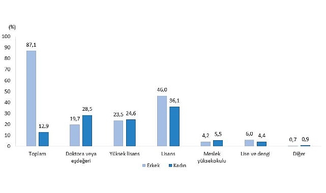 Teknogirişim Araştırması, 2024