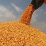 TMO’nun stokları gelecek hasat dönemine kadar yeterli