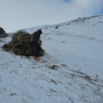 Van’da kış mesaisi sürüyor