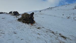 Van’da kış mesaisi sürüyor