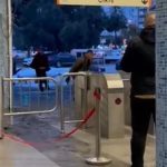 Adana’da metro istasyonunda taşlı saldırı: Güvenlik görevlileri ve vatandaşlar hedef alındı